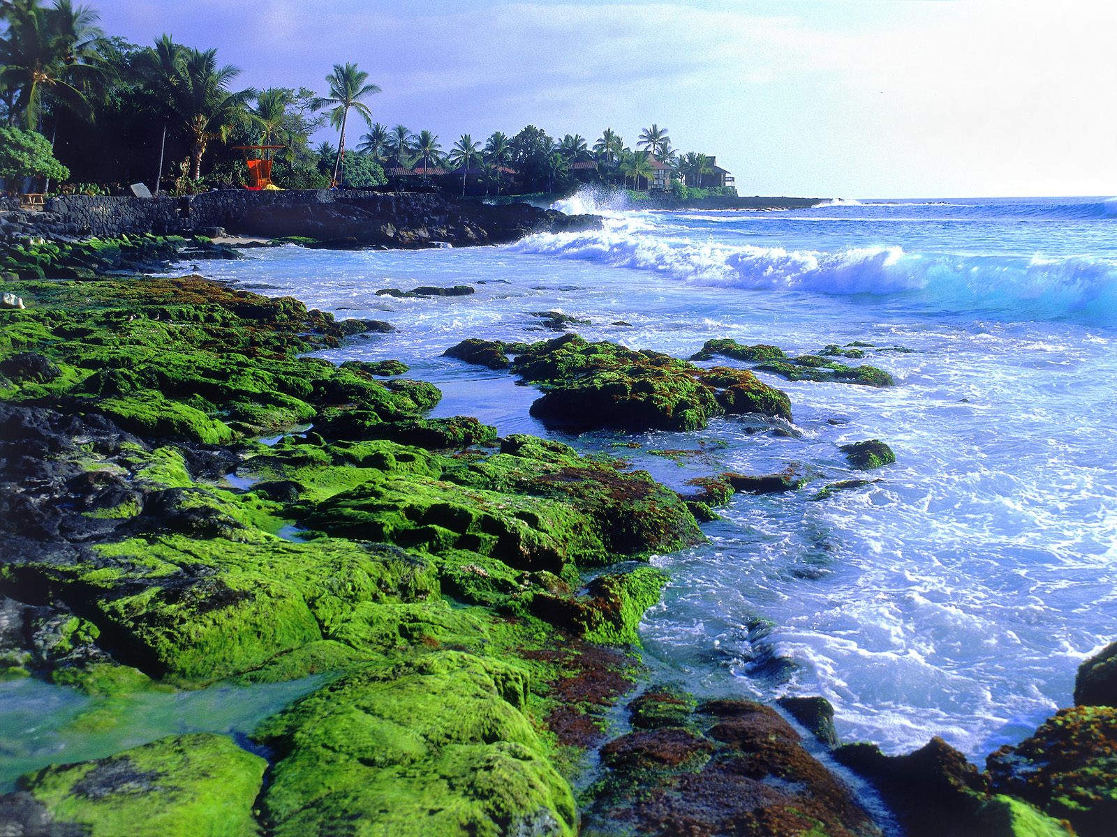 Phoebettmh Travel: (United States of America) - Hawaii island – also ...